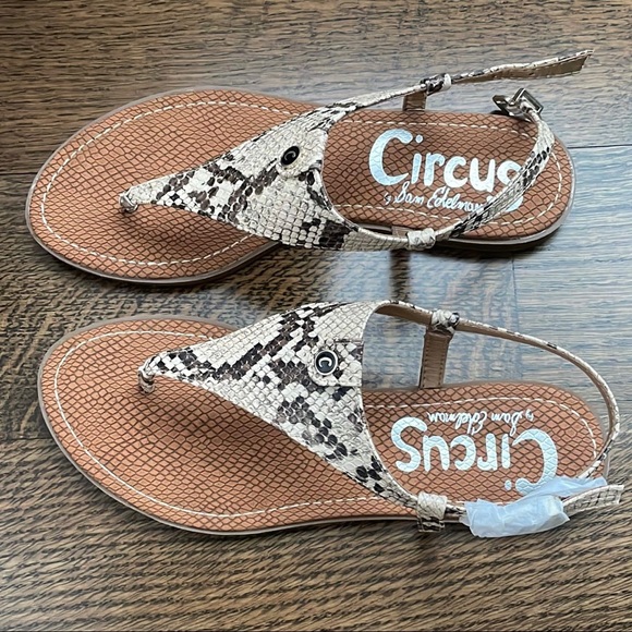 Circus by Sam Edelman Shoes - Circus by Sam Edelman Thong Sandal